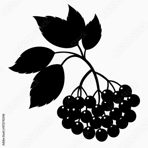 Elegant Elderberry Silhouette Vector Art