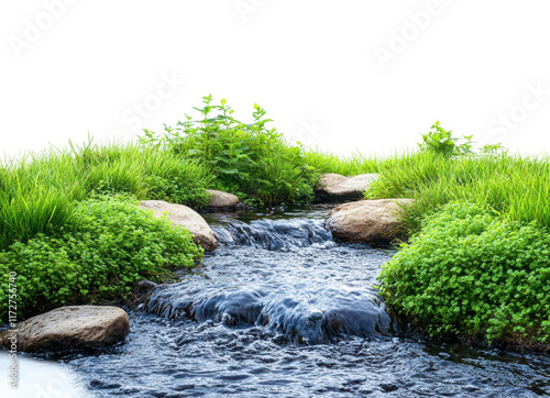 Flowing stream with moss-covered rocks surrounded by lush green grass and vibrant natural scenery for outdoor and nature-inspired designs isolated on transparent background