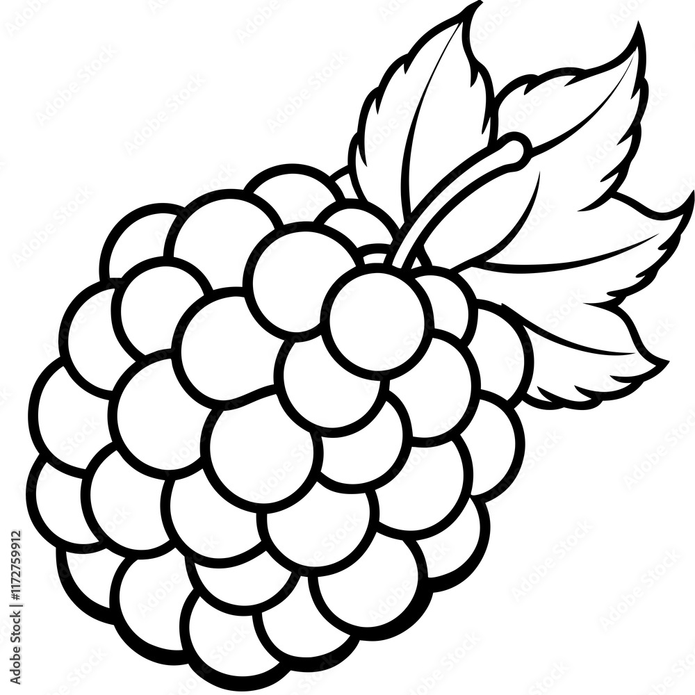 Elegant Wineberry Art in Vector Style Elegant Wineberry Art in Vector Style