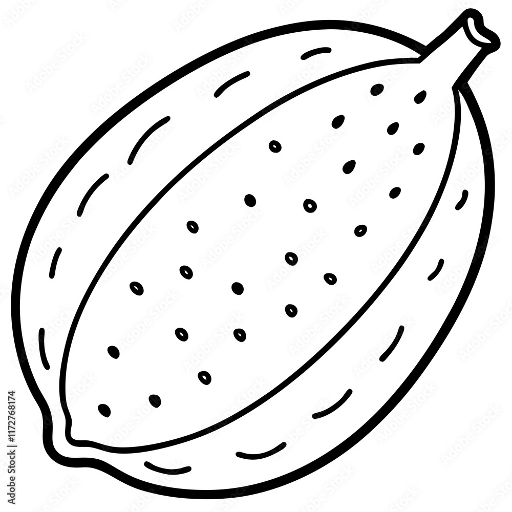 Finger Lime Vibrant Vector Art Finger Lime Vibrant Vector Art
