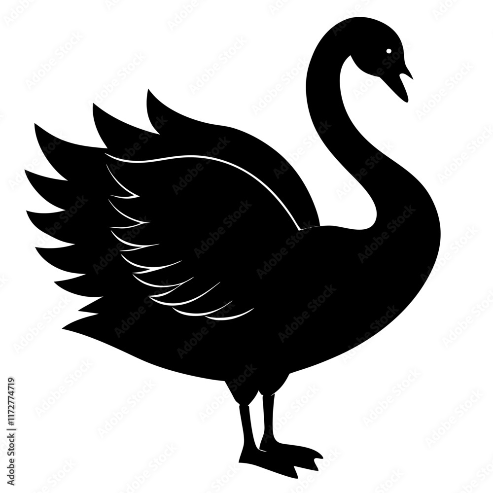 Fototapeta premium black swan