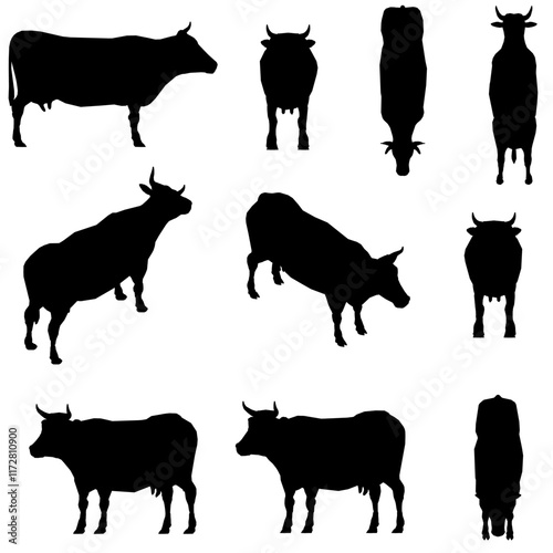 Series of black and white cow silhouettes are shown, with one cow standing and the others in various positions. Scene is calm and peaceful, as the cows are depicted in a serene and natural setting