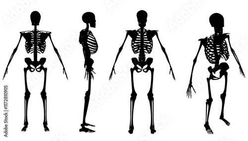 Four skeletons are shown in different positions, with one of them having its arms crossed. Concept of mystery and intrigue, as the skeletons are depicted in various poses and angles