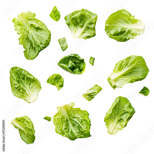 Lettuce leaves