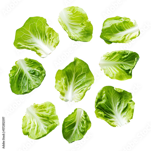 Lettuce leaves