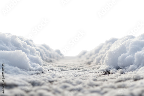 path on snow