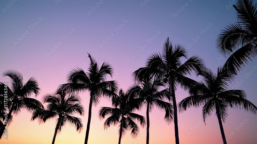 Palm Trees Sway Gently Under a Vibrant Sky as the Sun Sets Over the Horizon in a Tropical Paradise Palm Trees Sway Gently Under a Vibrant Sky as the Sun Sets Over the Horizon in a Tropical Paradise