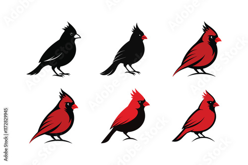 Northern Cardinal vector art illustration photo