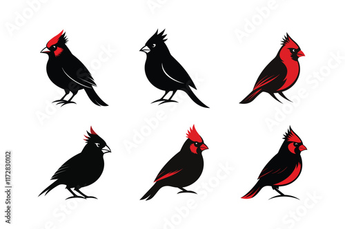 Northern Cardinal vector art illustration photo