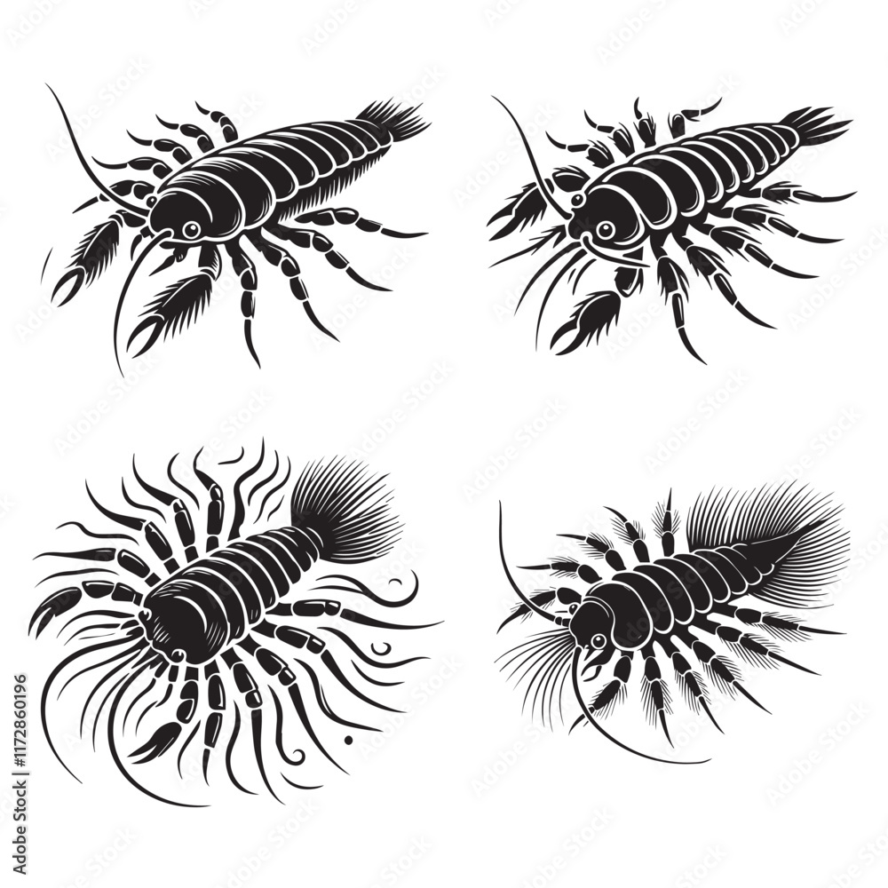 4 set of black silhouette of the Water Flea Isolated on a White Background in Monochrome Art Style