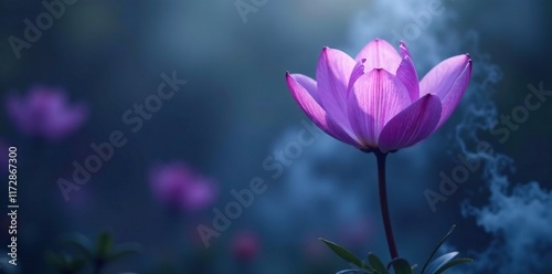 Mysterious smoke surrounds the purple flower stem, serenity in mist, veiled base rise
