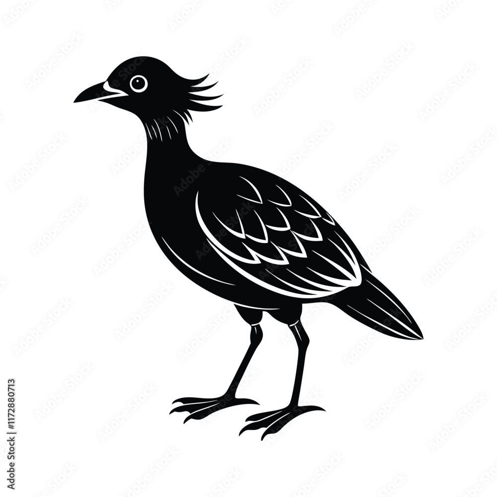 Fototapeta premium silhouette of a bird vector illustration