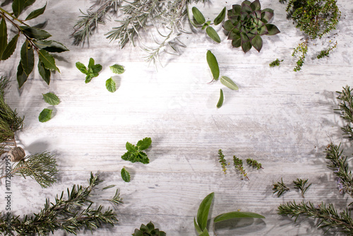 Spezie della natura per cucinare.