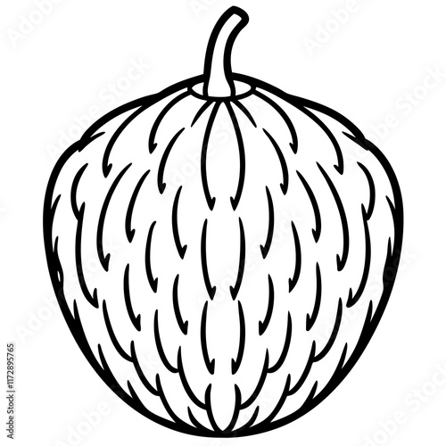 Stylized Balsam Apple in Minimalist Vector