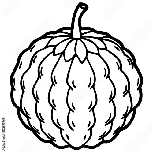 Stylized Balsam Apple in Minimalist Vector