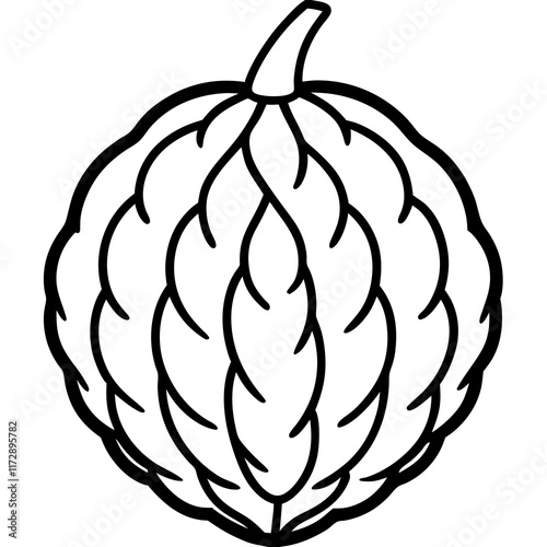 Stylized Balsam Apple in Minimalist Vector