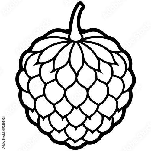 Stylized Balsam Apple in Minimalist Vector