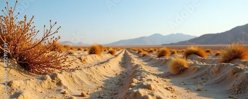 Drought-stricken landscape with withered plants, dry, plant