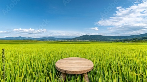 A photostock of a scenic view of rice fields in vibrant green and golden hues, arranged in terraced layers under a bright blue sky, symbolizing harmony with nature. High Quality