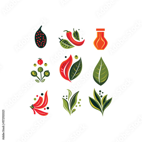 Spices design vector template