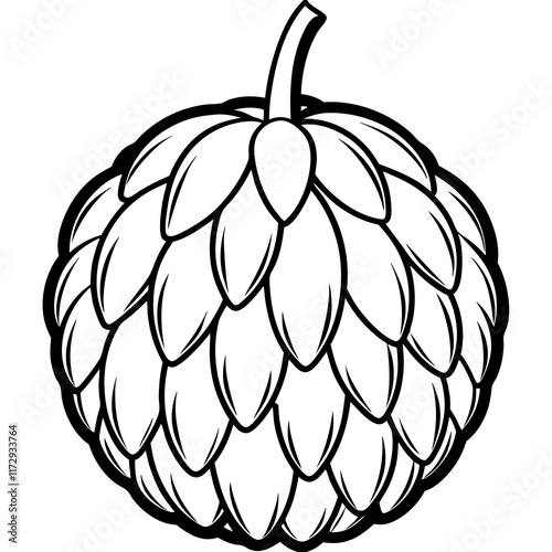 Elegant Balsam Apple Vector Art Design