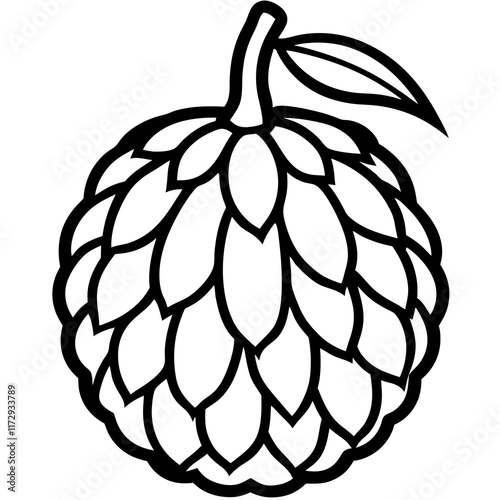 Elegant Balsam Apple Vector Art Design