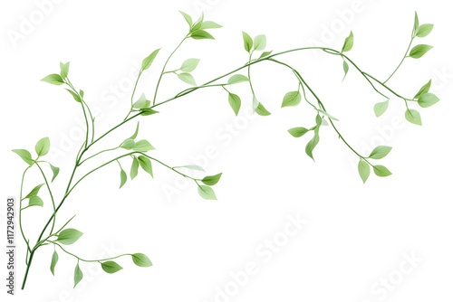 Green Vine Leaves Branch Twigs Nature photo