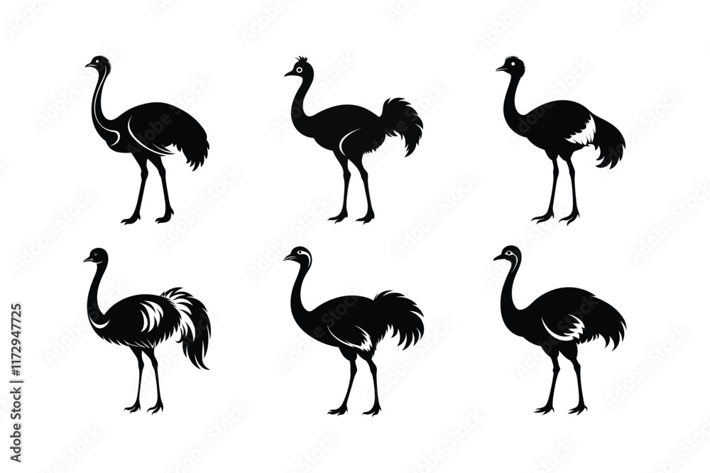 Obraz premium Ostrich silhouette vector art illustration