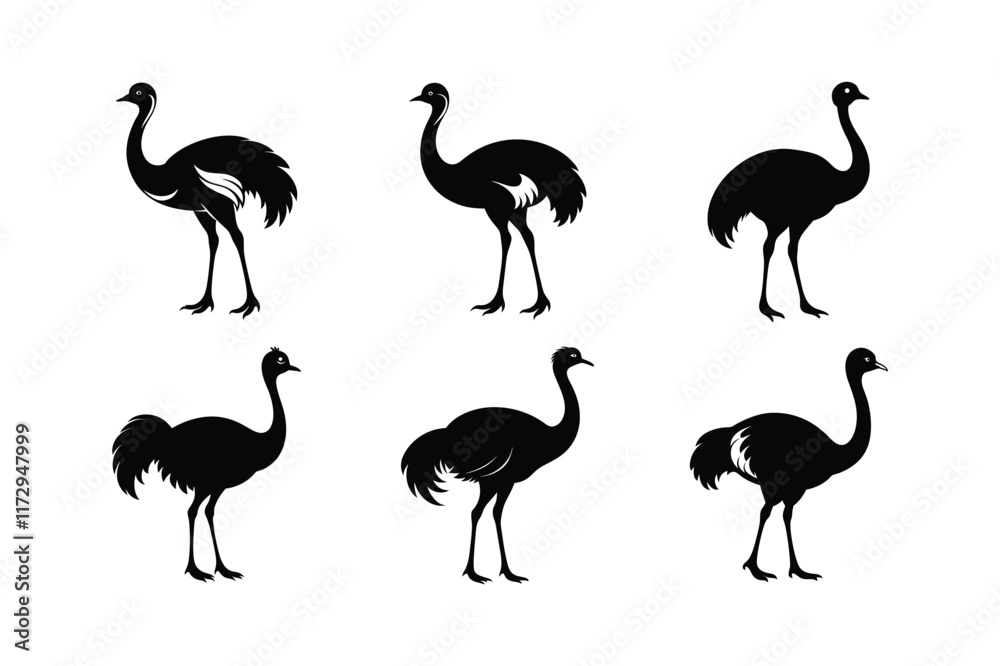 Fototapeta premium Ostrich silhouette vector art illustration