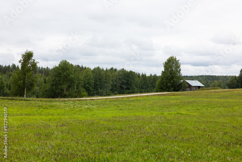 Summer countryside view. Rural view