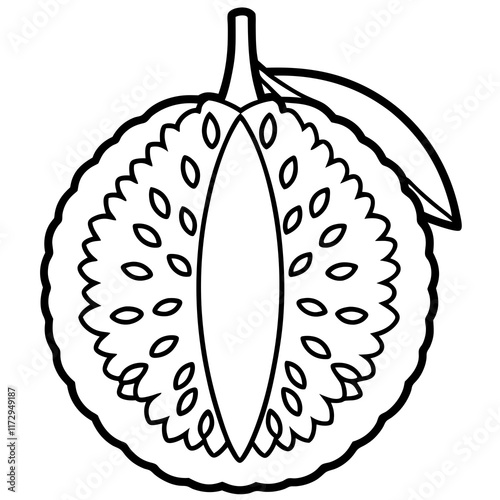 Jackfruit line art vector