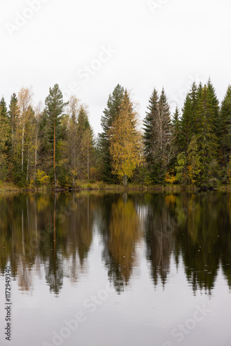 Autumn lake view. Fall colored foliage