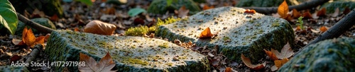 Speckled stone surface with tree branches and leaves, geological, woodland, forest floor photo