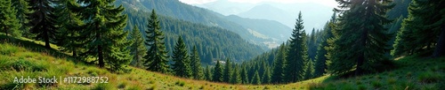 Dense forest of ancient Crimean pines and junipers, landscape, evergreen, forests