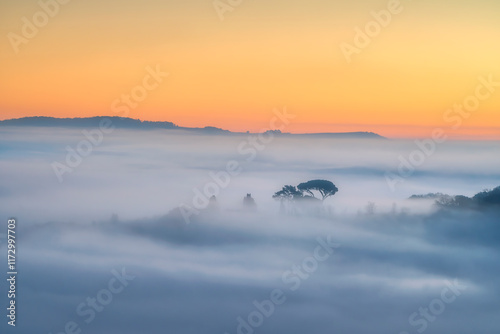 Fog at dawn on the hills of Volterra, Tuscany, Italy