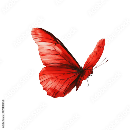 red butterfly on the fly on solid white background