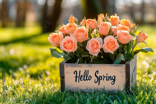 A wooden box filled with vibrant peach roses sits on freshly mowed grass, greeting the arrival of spring
