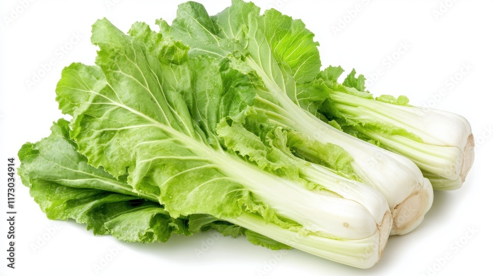 Fresh lettuce on white background Fresh lettuce on white background