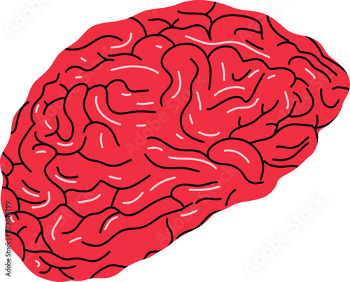 human brain 
