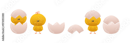 Cute yellow chicken. Little baby chick hatched from an egg. Chicken shell egg. Easter element. Vector cartoon illustration.