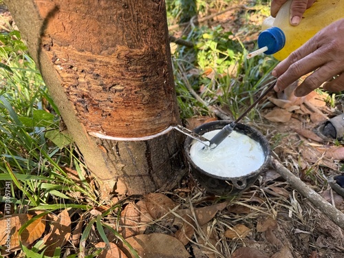 Applying Acid coagulation of latex