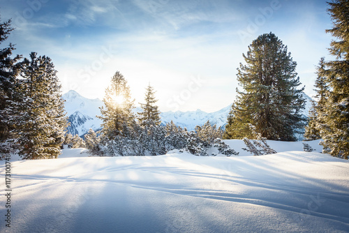 Obraz na płótnie Winter im Skigebiet in den tiroler Bergen im Zillertal w salonie