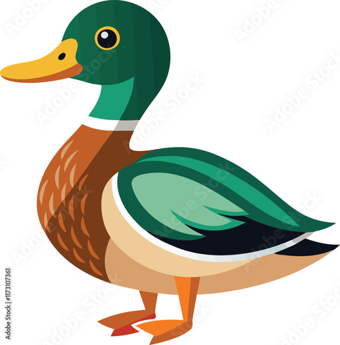 Mallard Duck bird vector artwork illustration