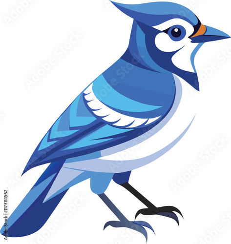 Blue Jay bird vector artwork illustration 