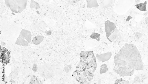 Polished terrazzo marble floor texture in black and white. Modern white and black marble terrazzo texture with abstract patterns. Exquisite white and black marble floor, a stunning display of natural 