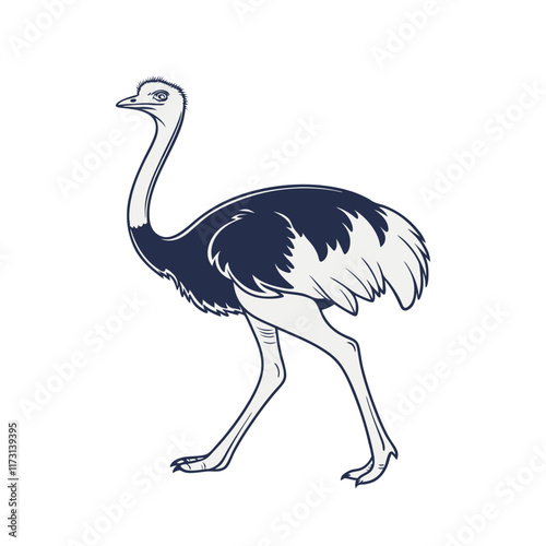 ostrich silhouette vector illustration