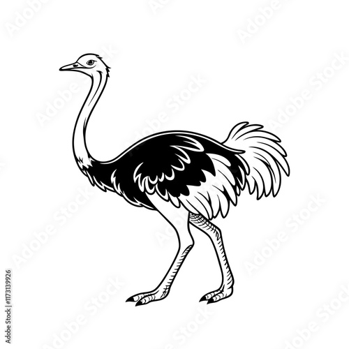 ostrich silhouette vector illustration