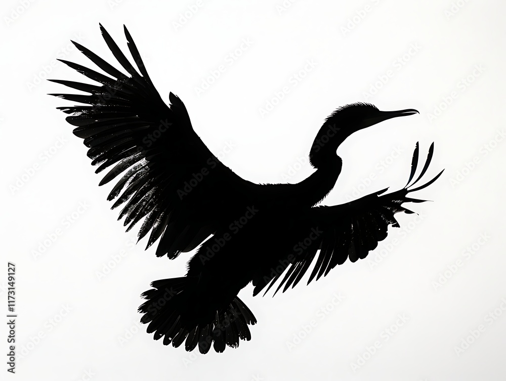 Fototapeta premium Silhouette of a bird with spread wings on a white background