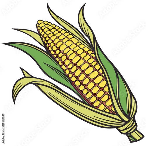 Fresh Corn on the Cob Illustration, Vector Graphic, Yellow Maize