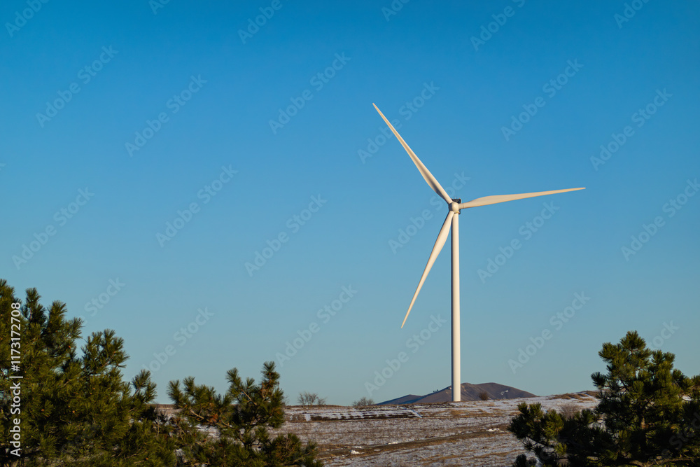 Wind turbines on the hill against pine trees and blue sky on a sunny day Wind turbines on the hill against pine trees and blue sky on a sunny day